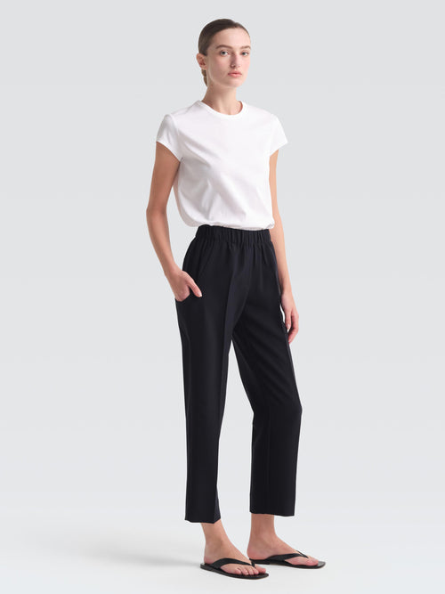 Summer Suiting Malone Pants