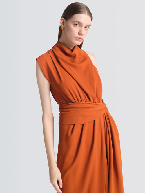 Tri Acetate  Lupita  Dress