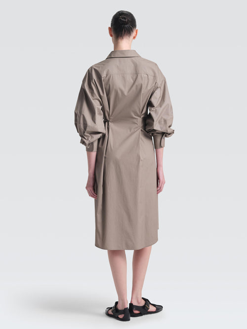 Paper Poplin  Lynn  Dress