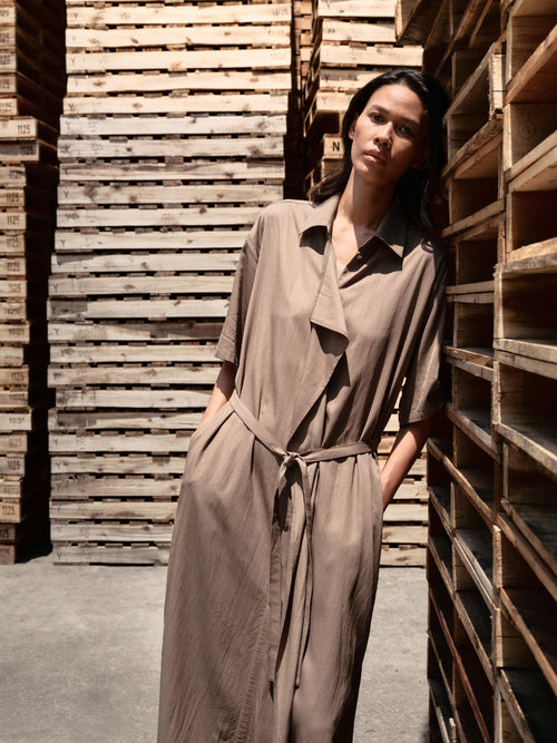 Cotton Rayon Ueno Dress