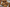 IGC_E-Store_MotherDough-Edit