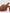 Mud Rock Potato - Pilates 01