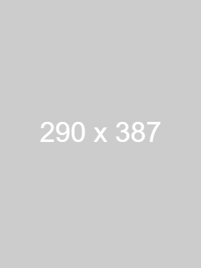 dummy_290x387_ffffff_cccccc